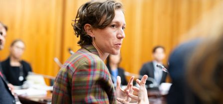 Christina Dexel (German Ministry for Economic Cooperation and Development) Breakoutsession at BCSC2024, participants discussing
