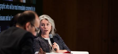 Róisín Drury-Tully (Service for Foreign Policy Instruments (FPI), European Commission) Final Panel Discussion at BCS2024