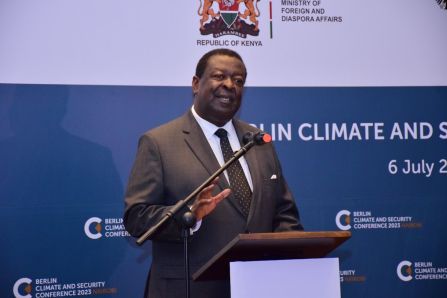 Mudavadi