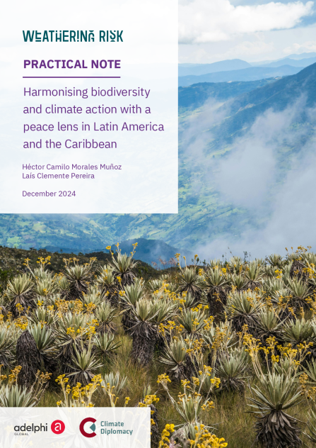 Harmonising biodiversity and climate action with a peace lens in Latin America and the Caribbean