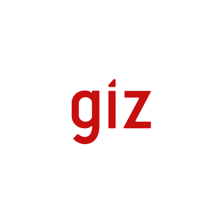 giz logo